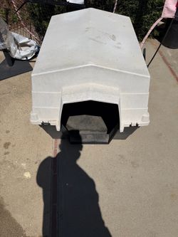 Large dog house