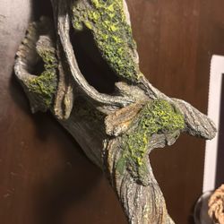 Reptile Rock Cave