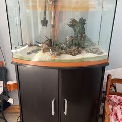 Fish Tank