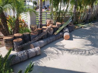 FREE PALM TRUNKS – Great for Tiki / Tropical Projects 🌴