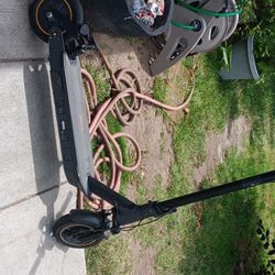 Ninebot Electric Scooter 