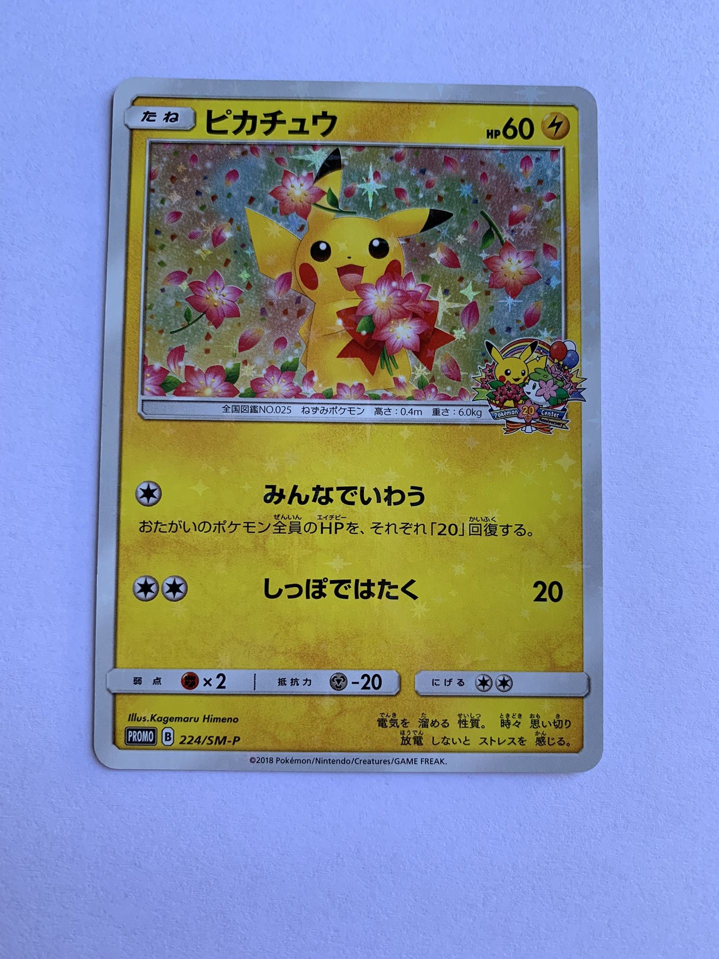 Pikachu 224/SM-P 20 Anniversary Promo Holo Japanese Pokemon Card