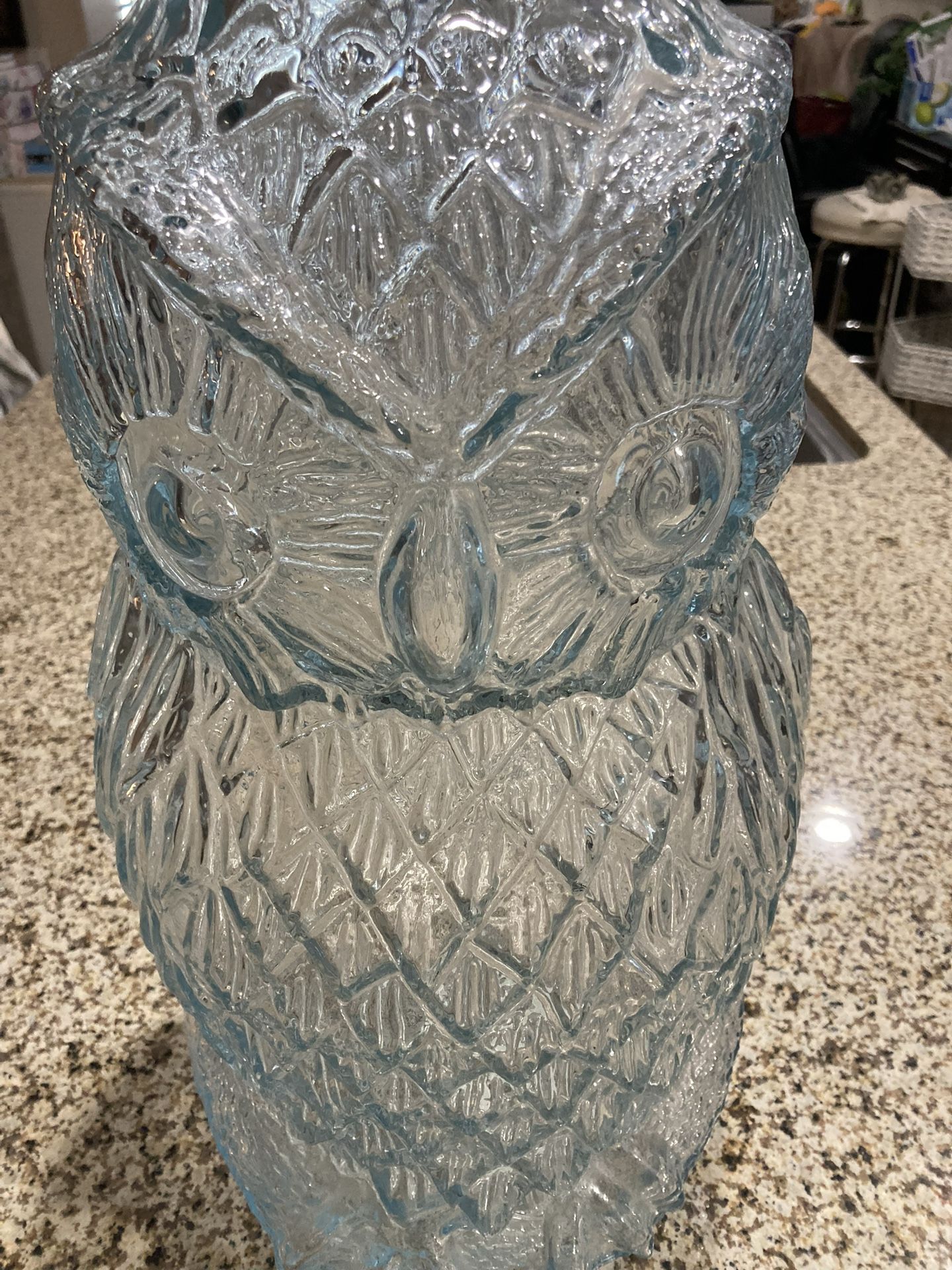 Glass Owl Container Or Jar