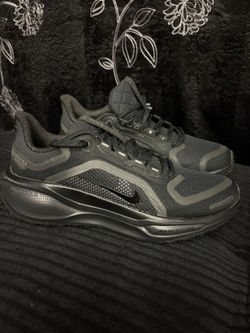 Nike Pegasus Gore-tex