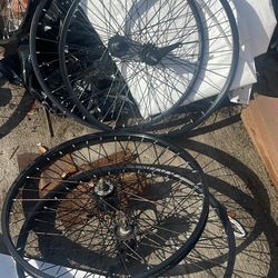 Bike Rims