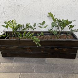 Wooden Planter With Plastic Liner (no Plants)