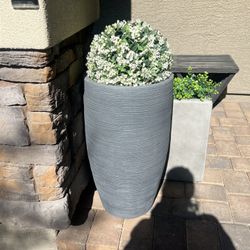 Planter 