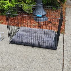 Portable/Collapsible Dog Crate With Plastic Liner And Bed -$25