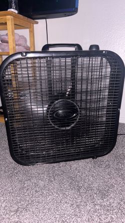 Fan