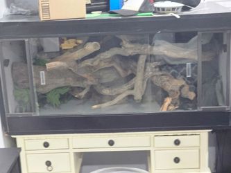 Custom reptile tank