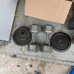 Dumbbells And Weights Everything In The Picture $65For All