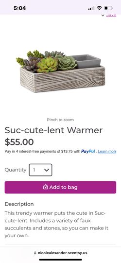 Scentsy’s Succulent Wax Warmer