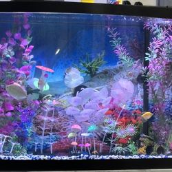 Aquarium 36 Gallons 