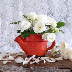 Rustic Orange Terracotta Watering Can 
$15