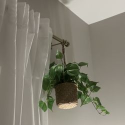 Artificial Potted Plants