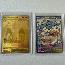 Pokemon Ascended Heroes