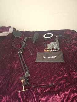 2 Microphones: 1 New 2 gently used  a light All together