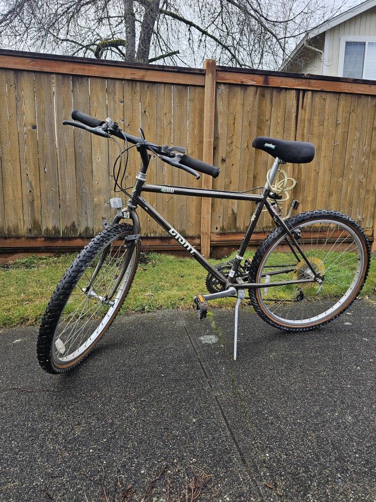 Giant Bike Bicycle