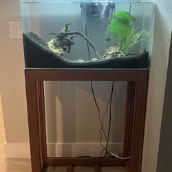 40 Gallon Frameless Aquarium + Wooden Stand + Filter + Heater 