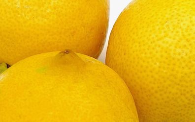 Limones Organicos