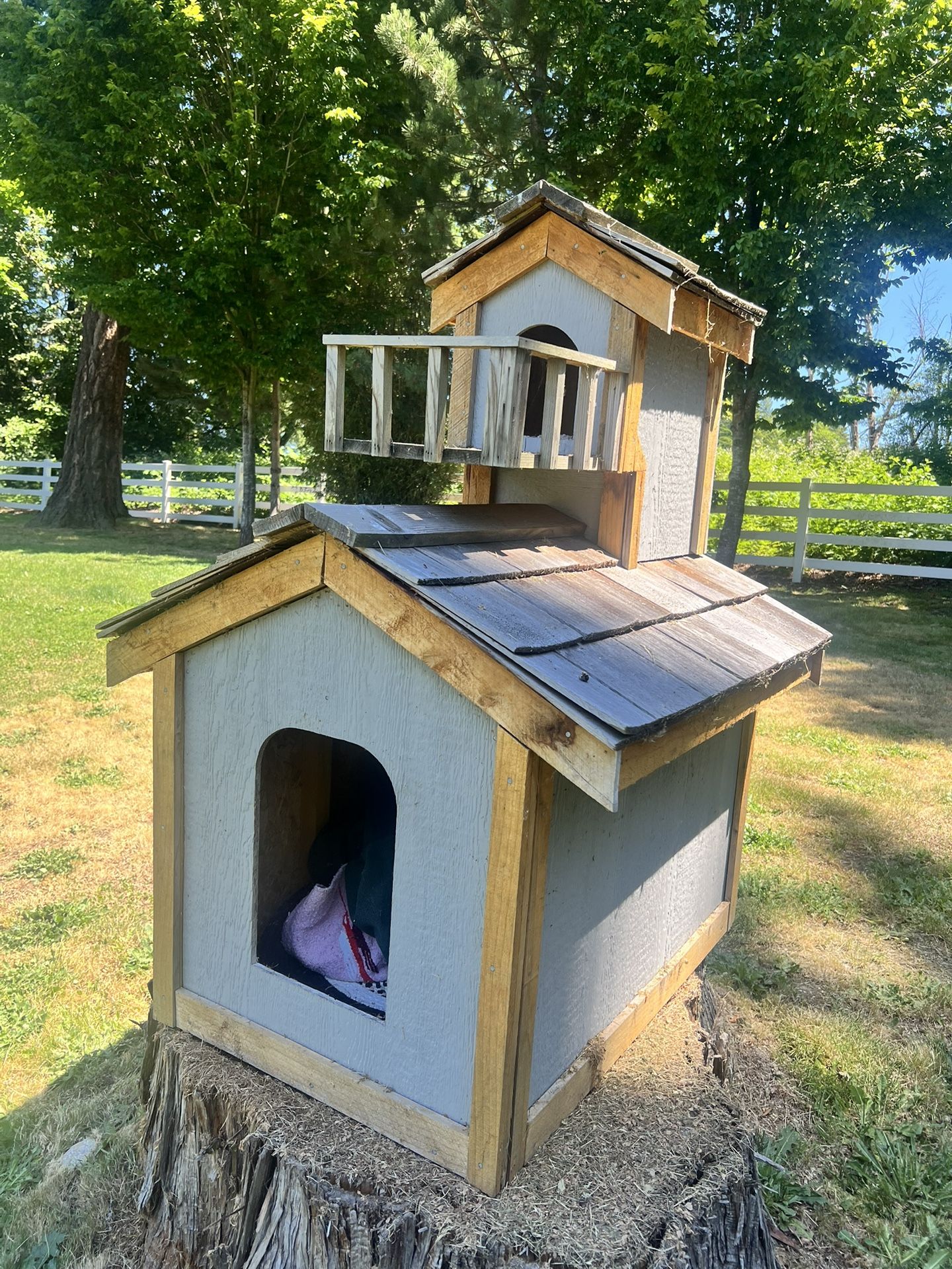 Dog Cat Condo