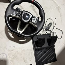 PS5 And 4 Steering Wheel 