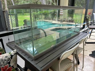 Fish Tank aquarium