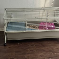 Small Animal Cage 