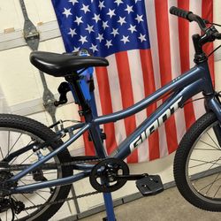 GIANT XTC 20 Mountain Bike - Restomodded