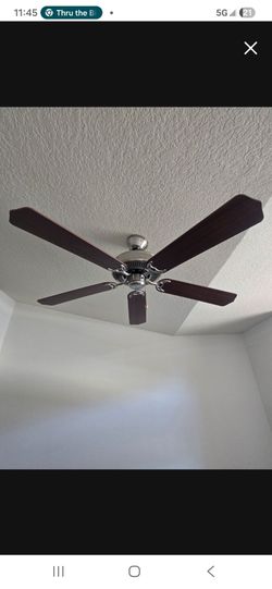 Beautiful ceiling fan