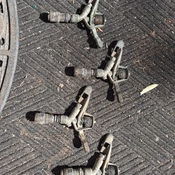 Rainbird Sprinklers 