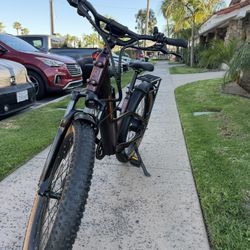 Rad Power Radster 2025 New Bike