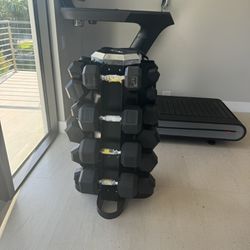 Full Set Of Weights For Home Gym (20 Dumbbells)