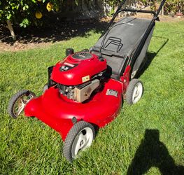 Push Lawnmower
