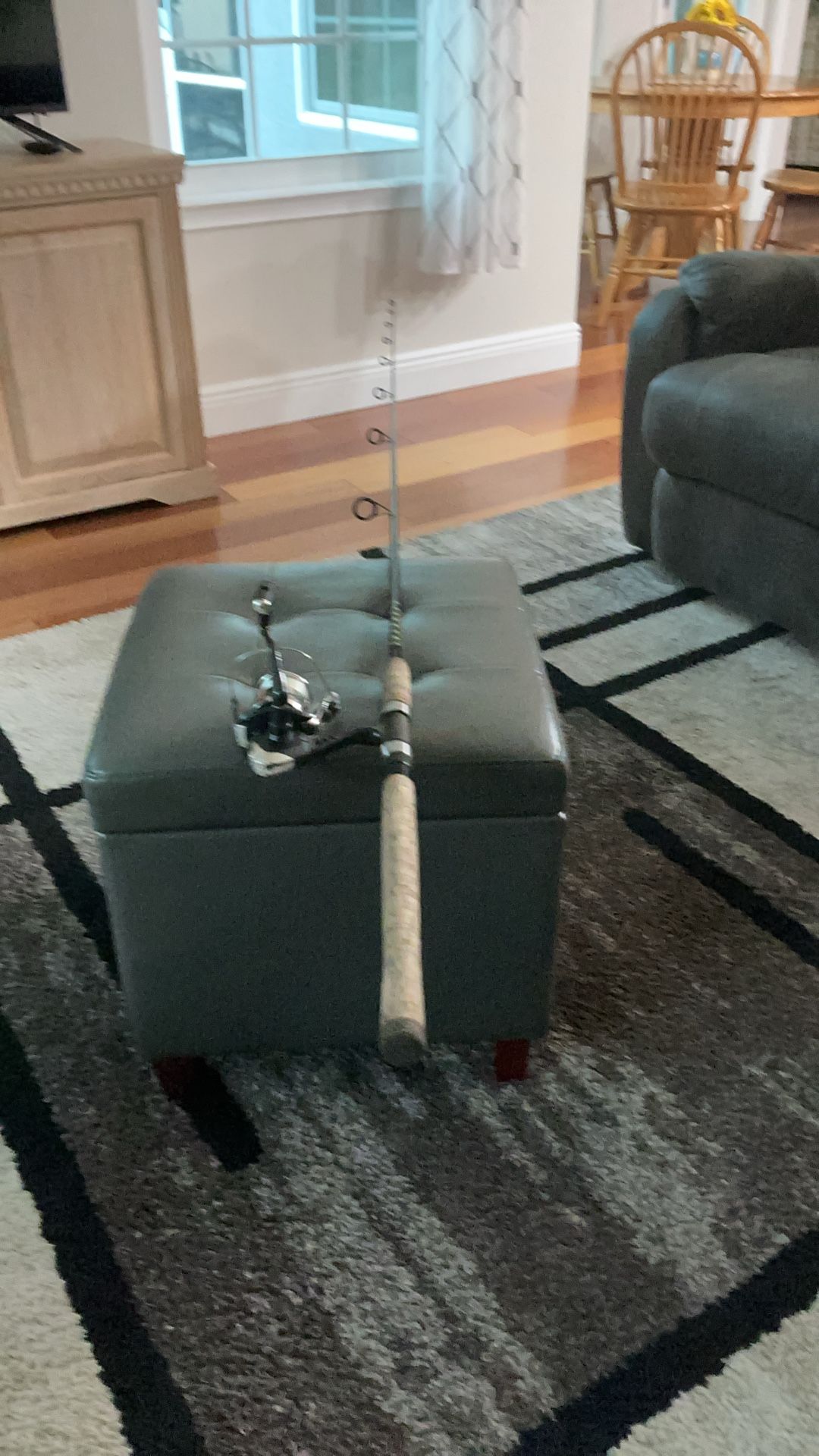 8 ft. Ande Tournament Inshore Spinning Rod, and New Shakespeare Reel