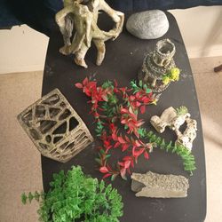 Has everything and More,just not the fish