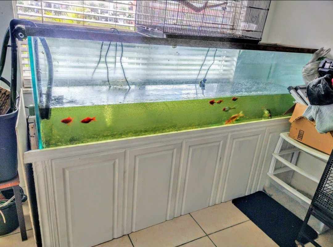 Aquarium Fish Tank 7ft Long Tank .