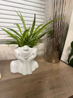 Human face planter with drainage. Comes with a well rooted spider plant