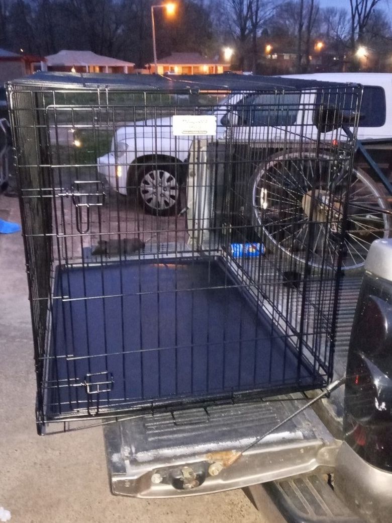 Extra. Extra. Dog cageLarge