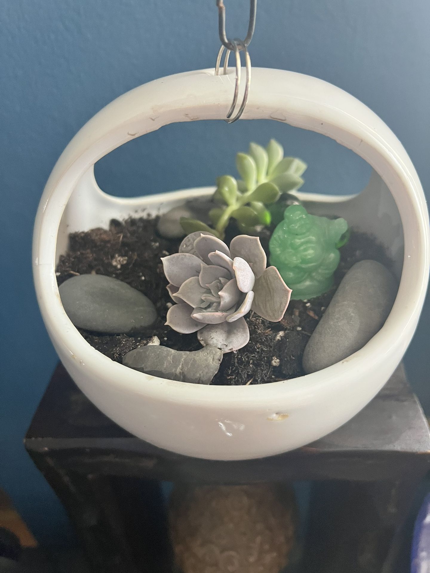 Ceramic Hanging Basket