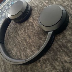 Sony Earphones Bluetooth Needs Sony App Play Blutooth