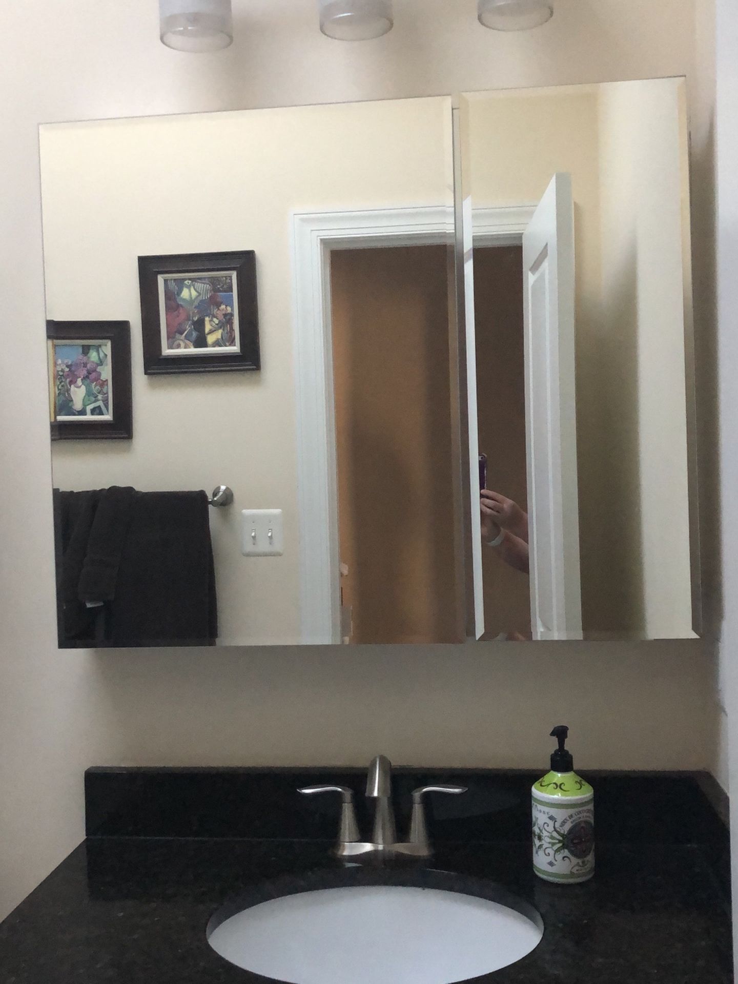 36 Inch Double Door Mirror Medicine Cabinet (hinge issue)