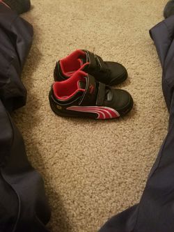 Pumas