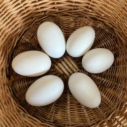 Fresh Goose Eggs Half-Dozen (6)