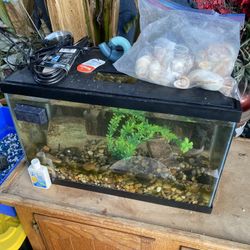 10 Gallon Fish Tank Aquarium