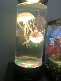 Jelly Fish Lamp