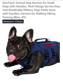 Dog harness