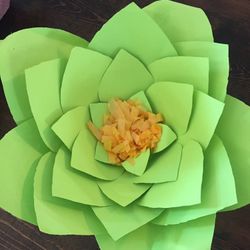 Large Paper Flowers