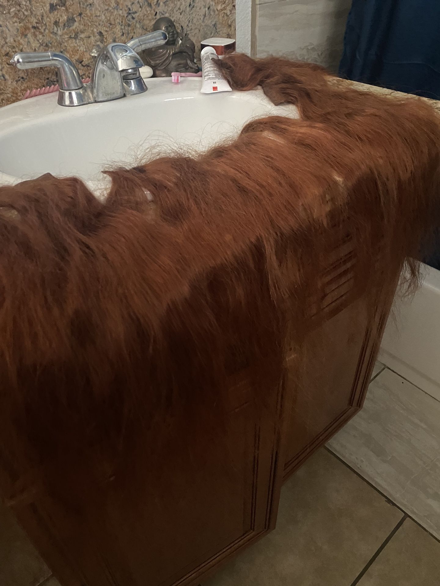 Hair Bellami Clip Extensions 170 Grams 22 inch