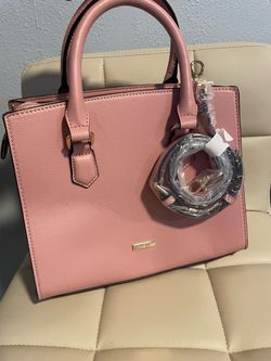 ALDO BAG $20